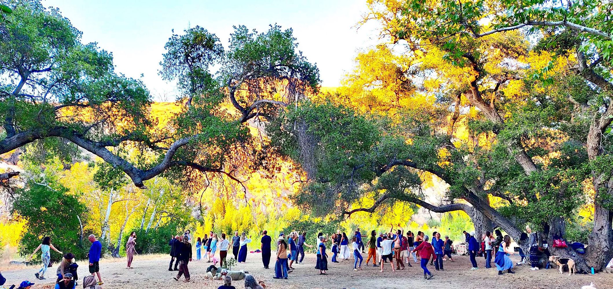 Santa Barbara Ecstatic Dance Co-op